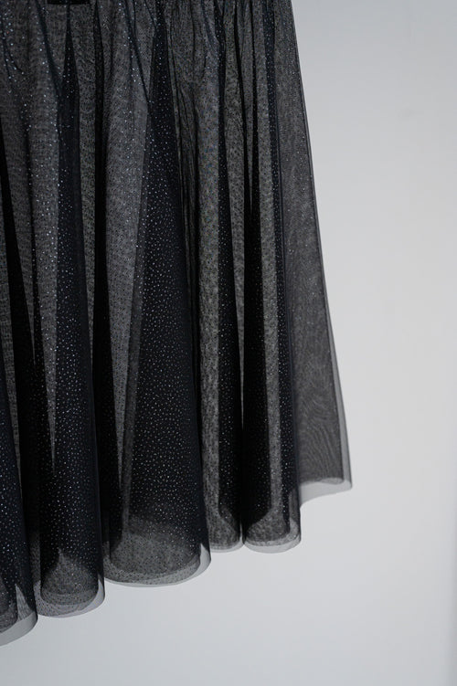 Mesh Mini Skirt Glitter